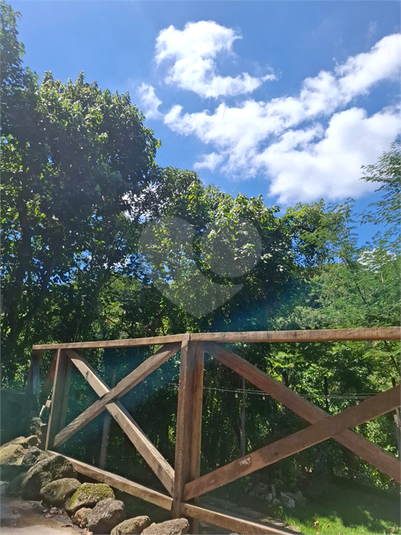 Foto REO1115594