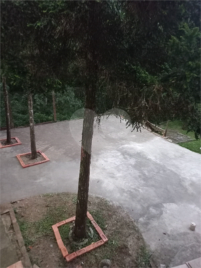 Foto REO1115594