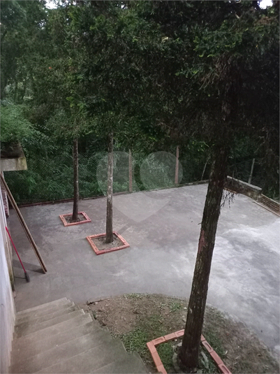 Foto REO1115594