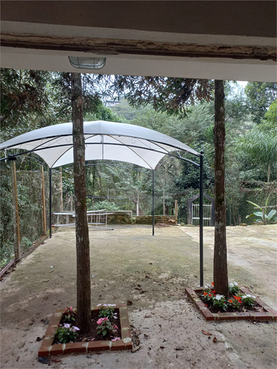 Foto REO1115594