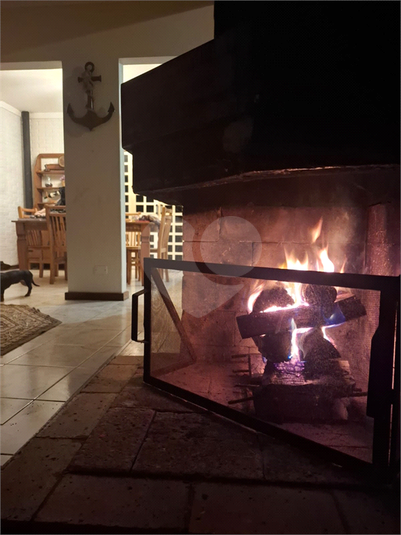 Foto REO1115594