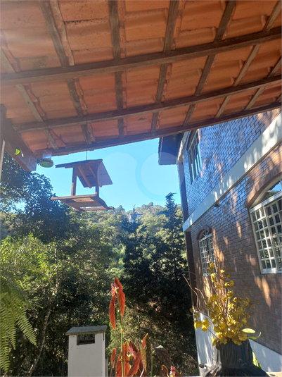 Foto REO1115594