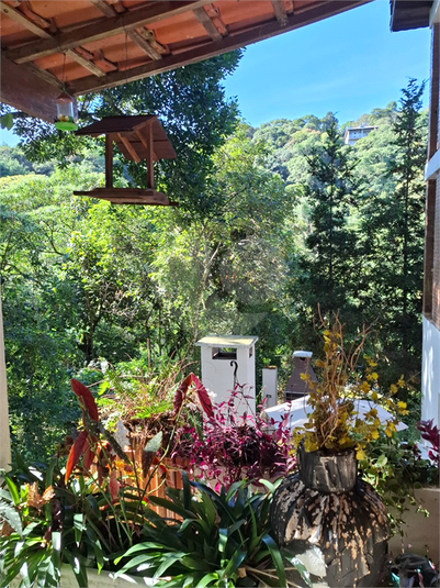 Foto REO1115594