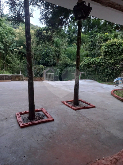 Foto REO1115594