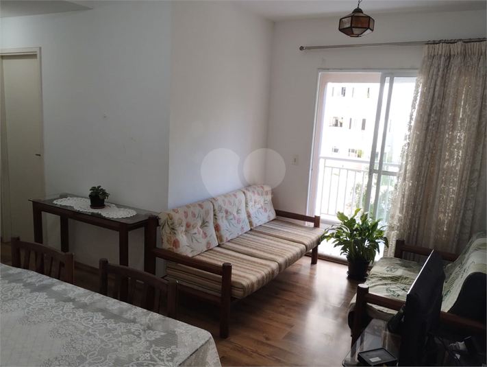 Foto REO1115601