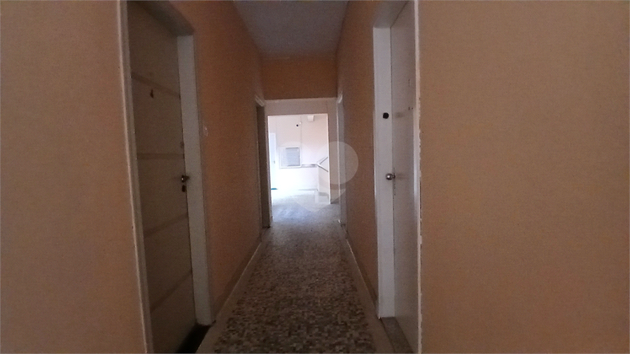 Foto REO1115610