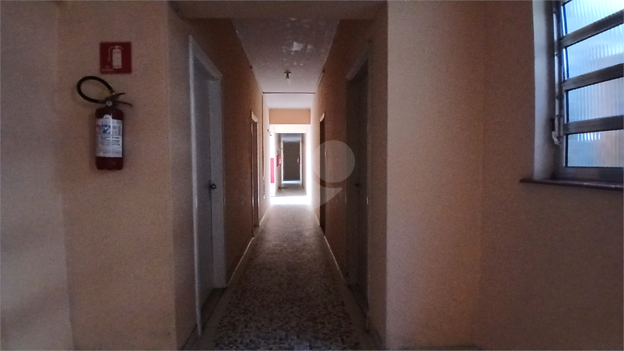 Foto REO1115610