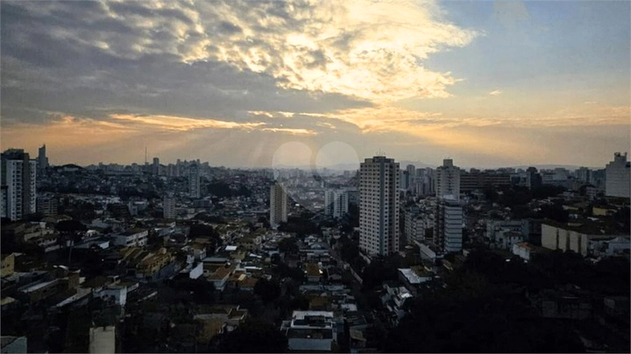 Foto REO1115617