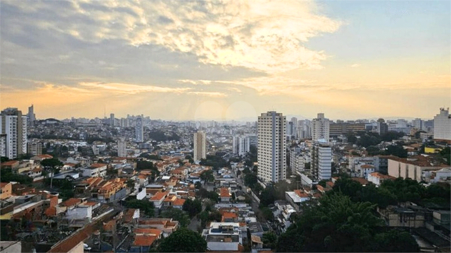 Foto REO1115617