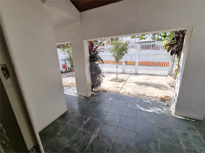 Foto REO1115620