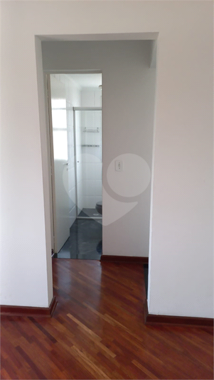 Foto REO1115623