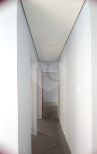 Foto REO1115627