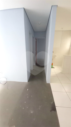 Foto REO1115627