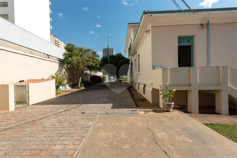Foto REO1115629