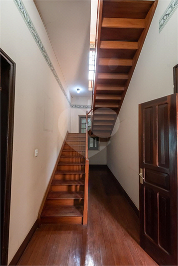 Foto REO1115629