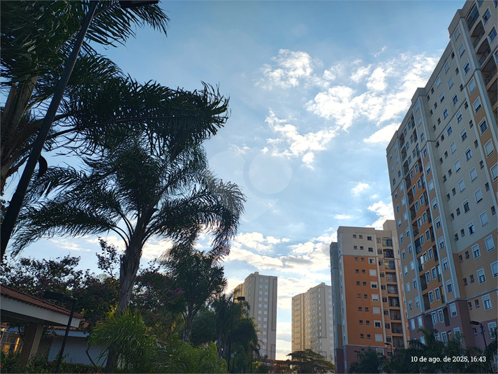 Foto REO1115633