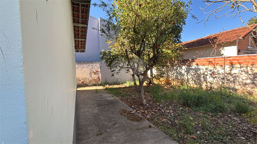 Foto REO1115635
