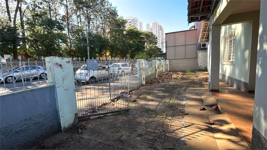 Foto REO1115635
