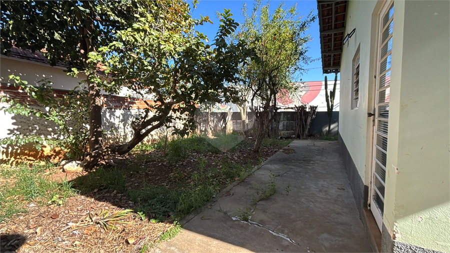Foto REO1115635
