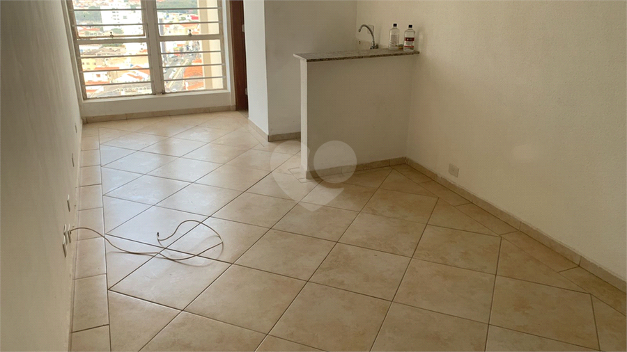 Foto REO1115653