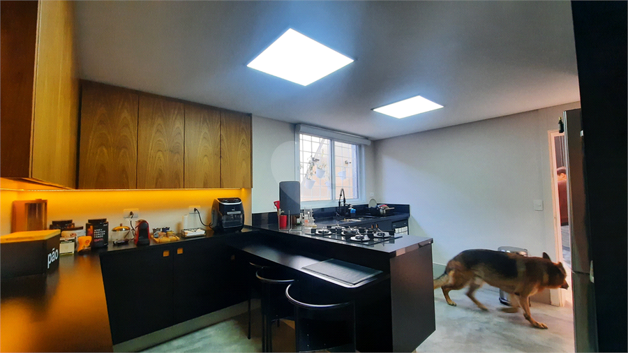 Foto REO1115662