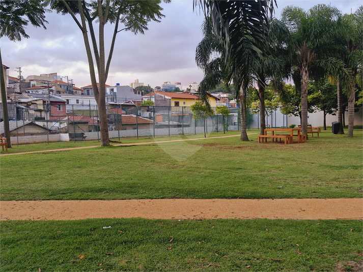 Foto REO1115663