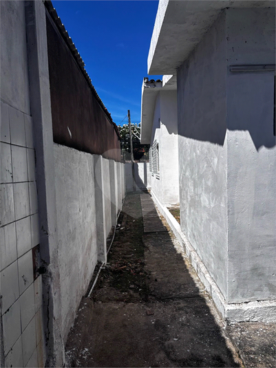 Foto REO1115664