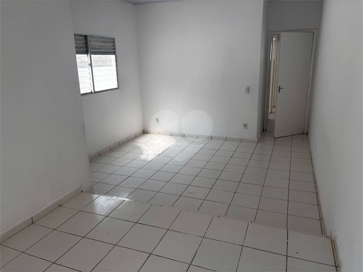 Foto REO1115664