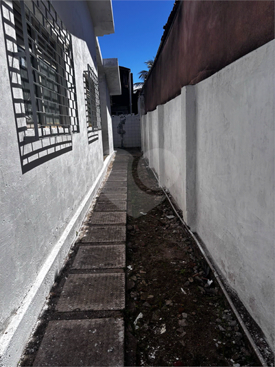Foto REO1115664