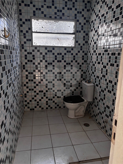 Foto REO1115664