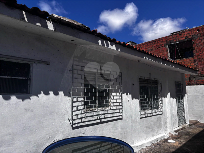 Foto REO1115664