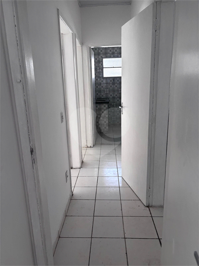Foto REO1115664