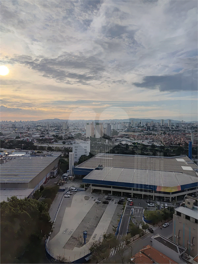 Foto REO1115668