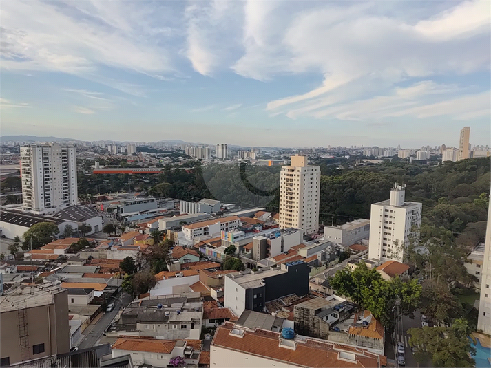 Foto REO1115668