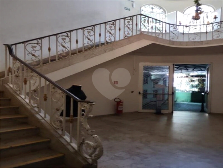 Foto REO1115670