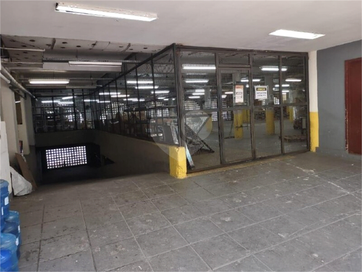 Foto REO1115670