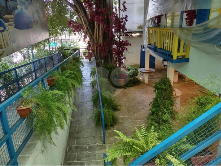 Foto REO1115670