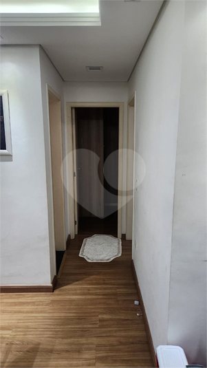 Foto REO1115673