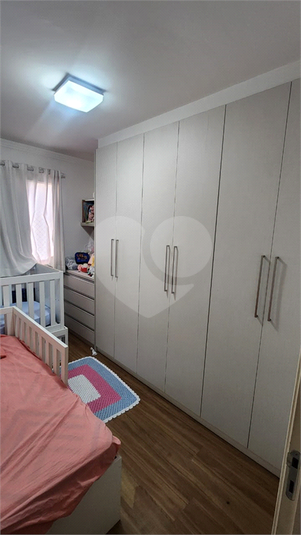 Foto REO1115673