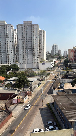Foto REO1115683