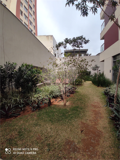 Foto REO1115685