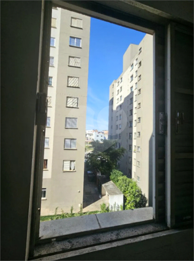 Foto REO1115686