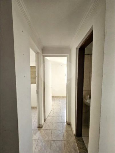 Foto REO1115686