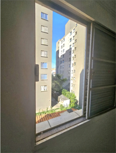 Foto REO1115686