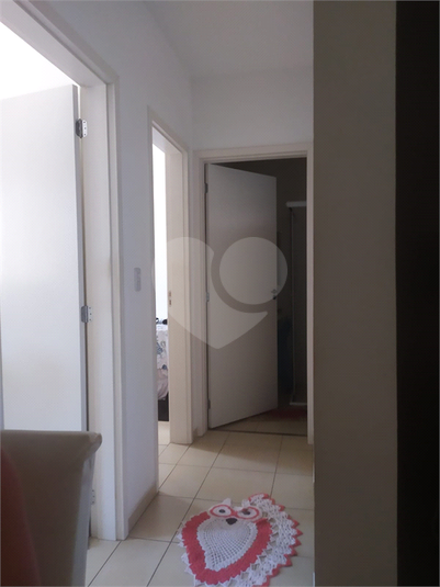 Foto REO1115688