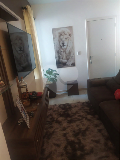 Foto REO1115688