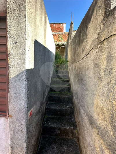 Foto REO1115695