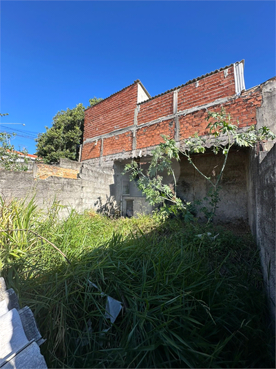 Foto REO1115695