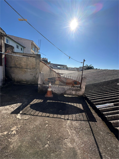 Foto REO1115695