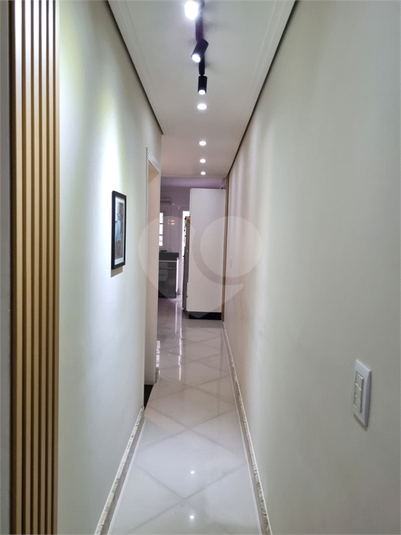 Foto REO1115699